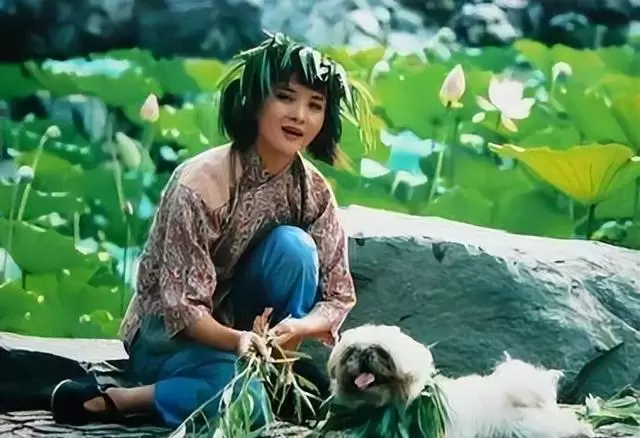 谢兰《大宅门》香秀演员定居美国后回国发展引争议 - 资讯配图